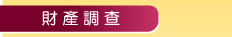 財產調查